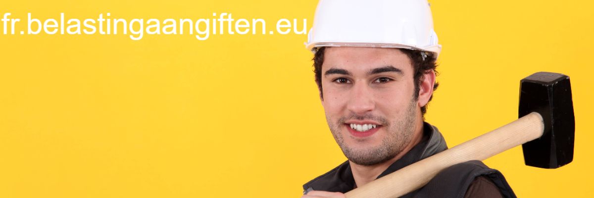 fr.belastingaangiften.eu